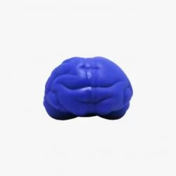 Anti Stress Cérebro Personalizado 