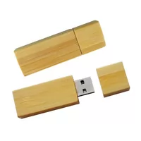 Pen Drive Ecolgico 4GB Personalizado 